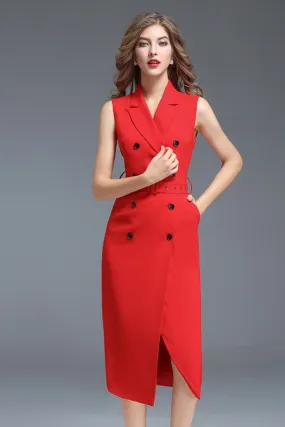 Notched Collar Double Breasted Dress